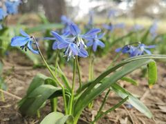 -国家植物园南园