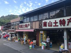 -镇江市南山风景名胜区竹林景区