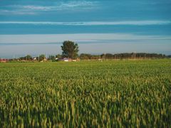 -稻梦空间冰雪小镇