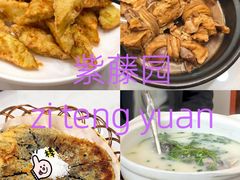 -紫藤园·天目湖大鱼头(南山竹海店)