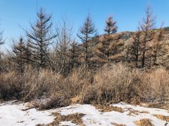 -阳台山自然风景区