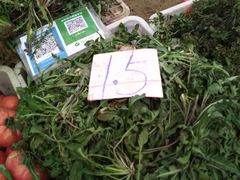 苦菜-重振华中蔬菜批发市场(重庆中路店)