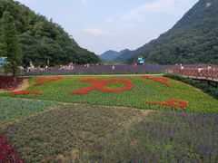 -广州市石门国家森林公园