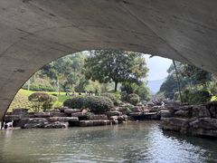 -桃花岭景区