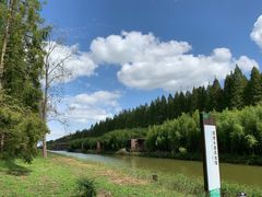 -黄海国家森林公园