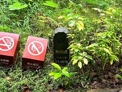 -梧桐山风景名胜区