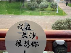 -橘洲1910花园江景西餐厅