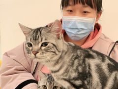 -美联众合动物医院·24h京西诊疗中心