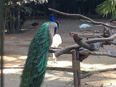 -西安秦岭野生动物园