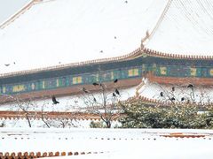 -故宫博物院(故宫)