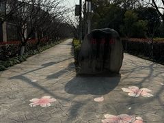 -高东镇樱花园