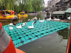 -团结湖公园