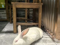 -东安鸡馆(蔡锷南路店)