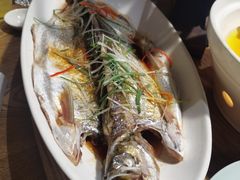 -新悦·霞浦海鲜生(上下杭店)