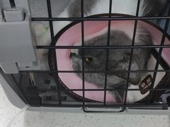 -联合动物医院(光谷诊疗中心)