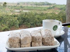 -侯臣咖啡文化村