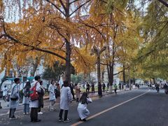 -四川大学(华西校区)