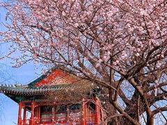 -颐和园