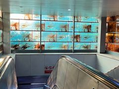 -味千拉面(双井店)