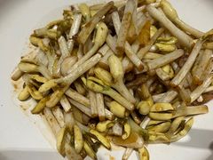 砂锅花生苗-香浙汇(望京店)