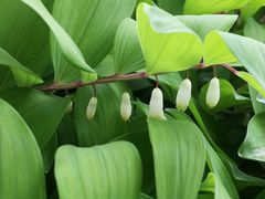-北京植物园-展览温室