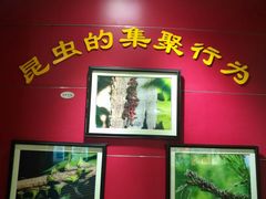-上海昆虫博物馆
