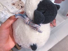 -ZARA(凯德乐峰广场店)