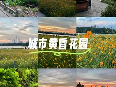 -海珠湖公园