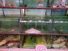 -裕兴酒家·34年老字号