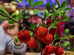 妃子笑-长安大牌档之西安博物院文化餐厅(中贸店)