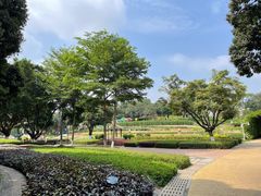 -天河儿童公园