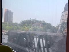 -油梨树AVOCADO TREE(望京店)