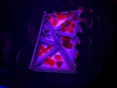 -斯卡拉演艺集团