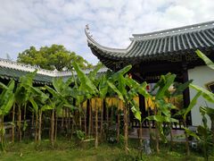 -江心屿景区