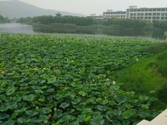 android_upload_pic-江南大学(蠡湖校区)