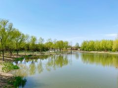 -东郊湿地公园