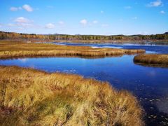 -塞罕坝国家级自然保护区