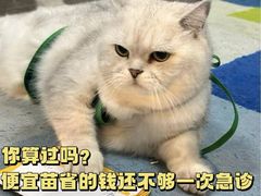 -瑞派·关忠动物医院(国瑞店)