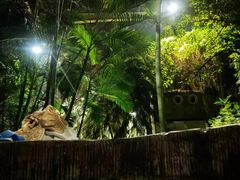 -龙达温泉生态城