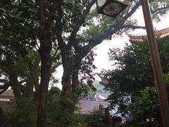 -普陀山慧济禅寺