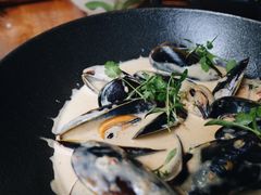 姜汁椰奶贻贝锅-植物园哈利亚餐厅