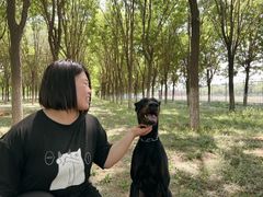 -北京京卫宠物寄养训练中心