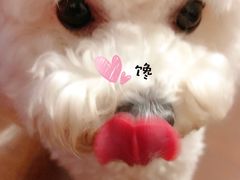 -瑞派天宁宠物医院·猫科·异宠中心