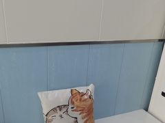 -纳吉亚猫专科动物诊疗中心(蒋宅口分院)