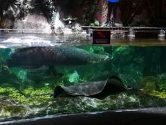 -暹罗海洋世界