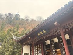 -焦山风景区