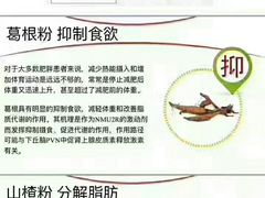 -杨国福麻辣烫(龙阳广场店)
