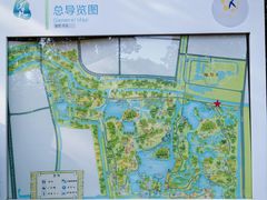 -昆山城市生态森林公园