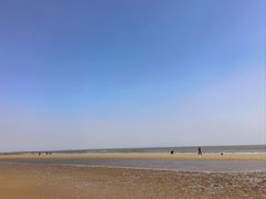 -日照海滨国家森林公园