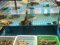 -和源祥·日照菜扛把子(万平口一店)